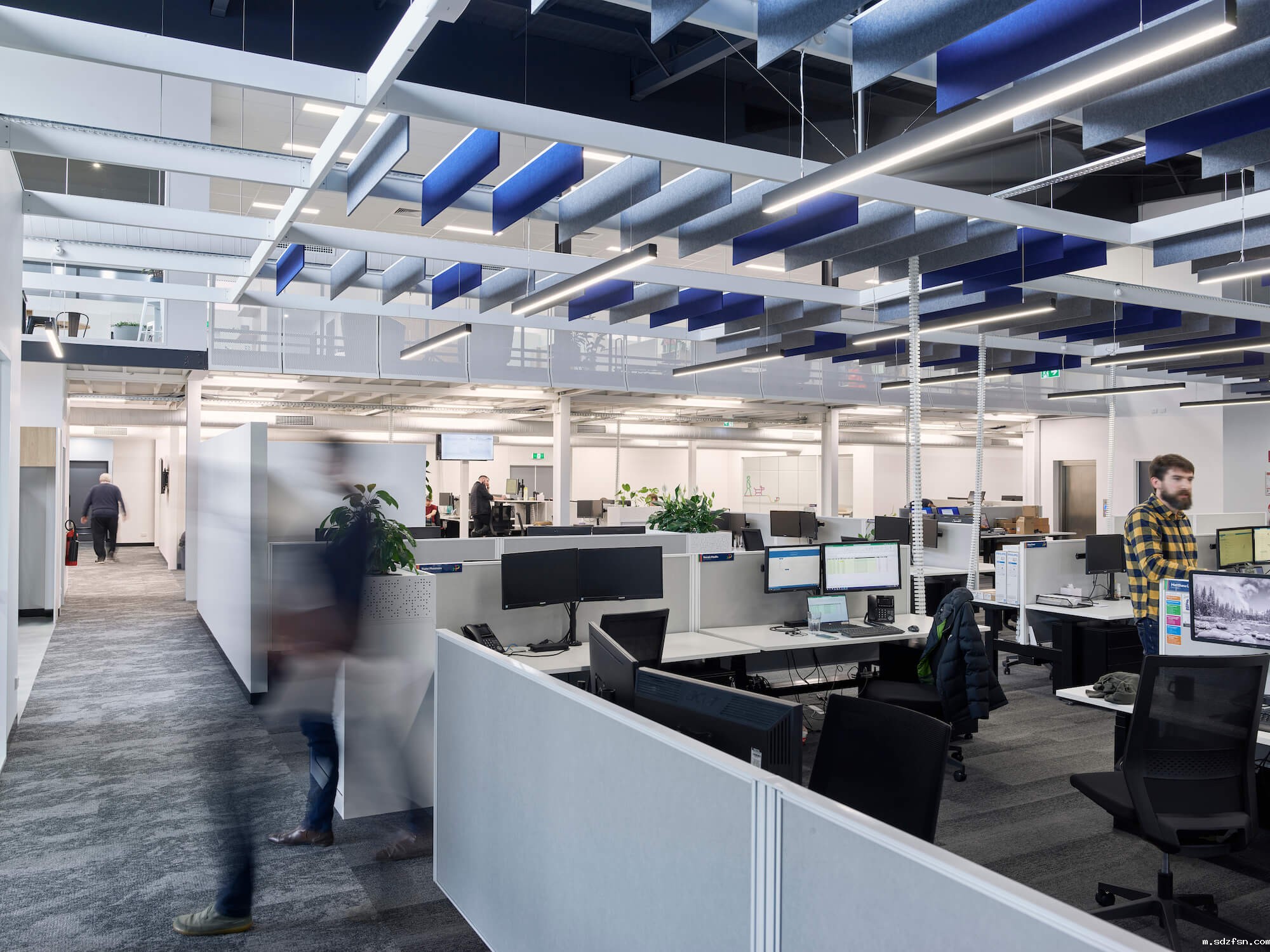 Merit-Interiors-Petstock-open-plan-office-design.jpg